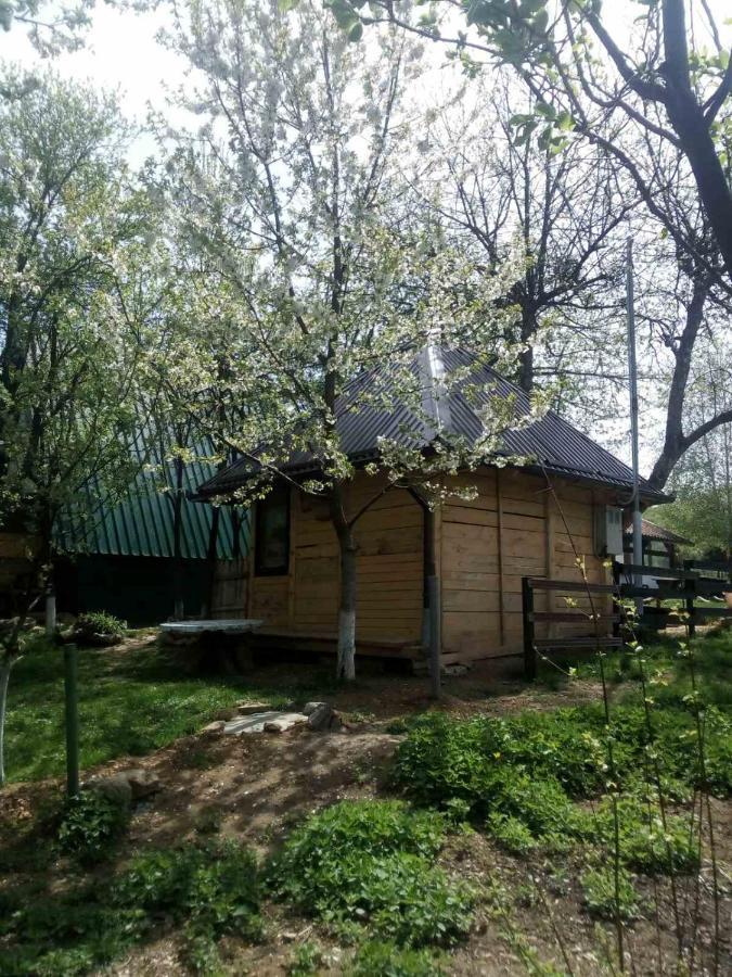 Bungalows Old Town 维索科 外观 照片